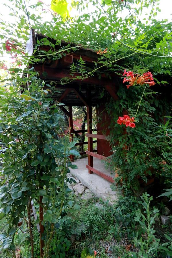 La Livada Villa Greci Exterior photo