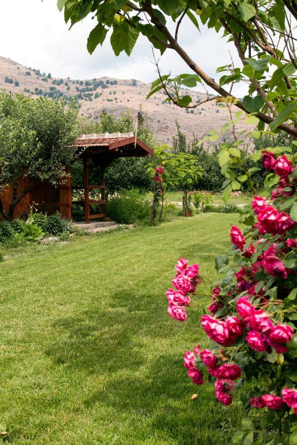 La Livada Villa Greci Exterior photo
